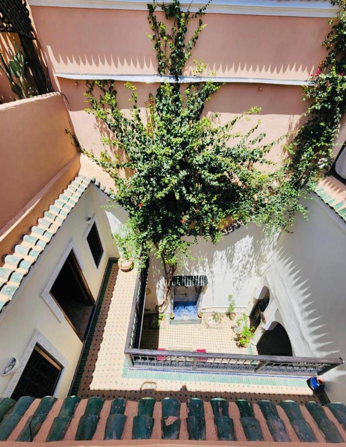 Riad Msholidays - Privatisé Jusqu'à 6 Personnes - Bassin Marrakesh